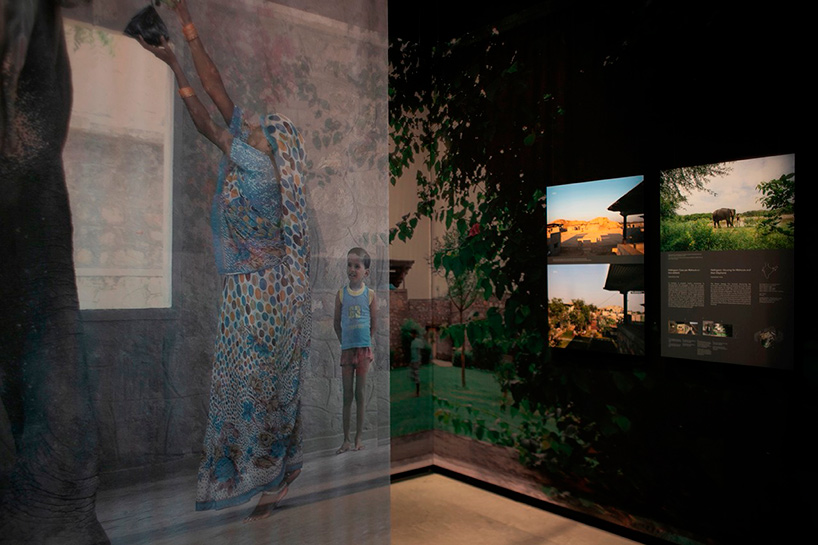 venice architecture biennale golden lion