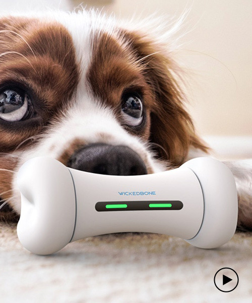 wickedbone is the smart dog toy to cure your puppy's anxiety