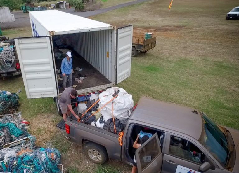 studiokca whale plastic