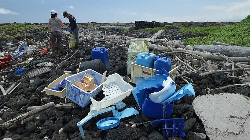 studiokca whale plastic