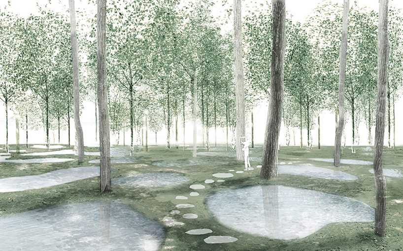 junya ishigami's art biotop project of a water garden in tochigi, japan opens