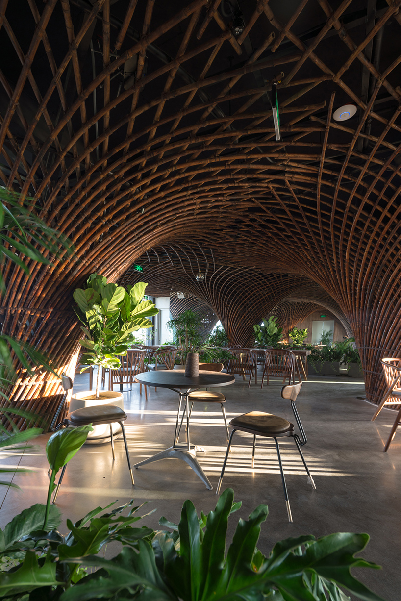 VTN architects bamboo club