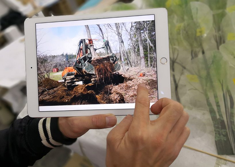 junya ishigami's art biotop project of a water garden in tochigi, japan opens