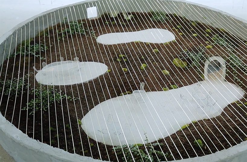 junya ishigami's art biotop project of a water garden in tochigi, japan opens