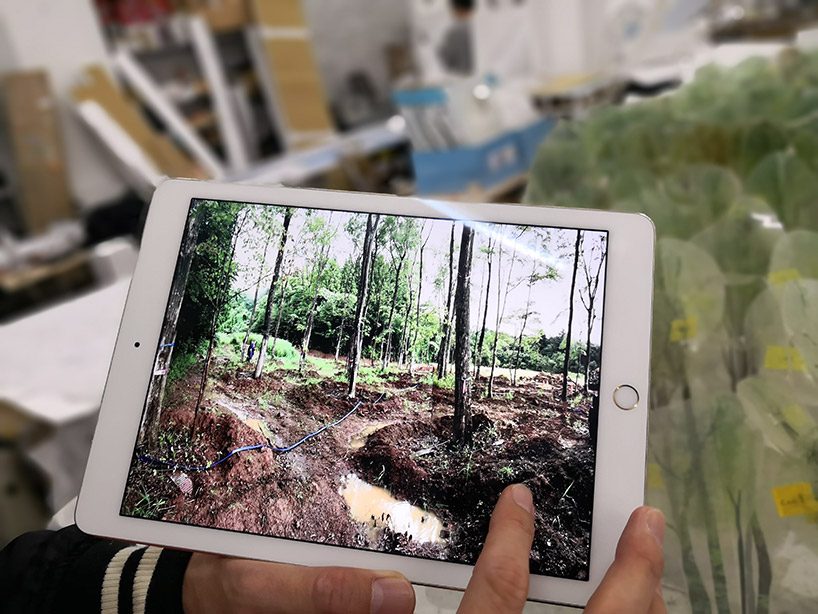 junya ishigami's art biotop project of a water garden in tochigi, japan opens