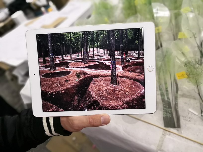 junya ishigami's art biotop project of a water garden in tochigi, japan opens