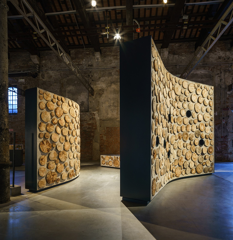 shelley mcnamara yvonne farrell grafton interview