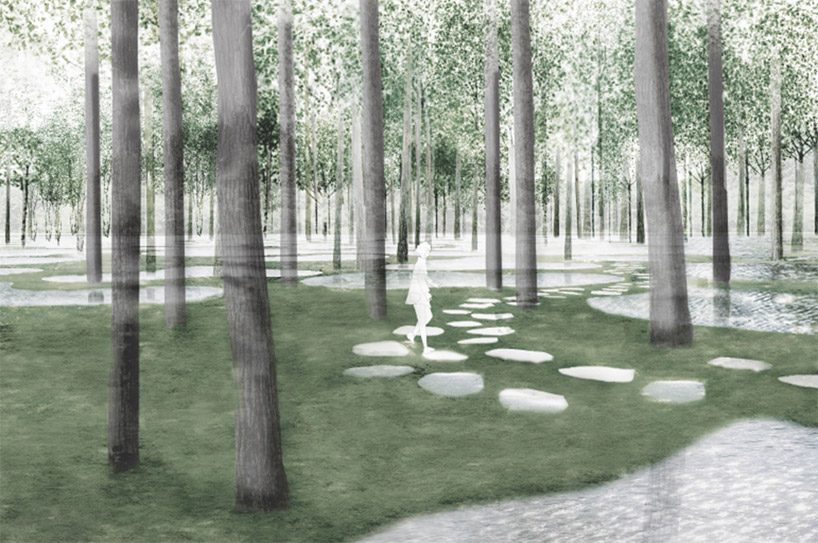 junya ishigami's art biotop project of a water garden in tochigi, japan opens