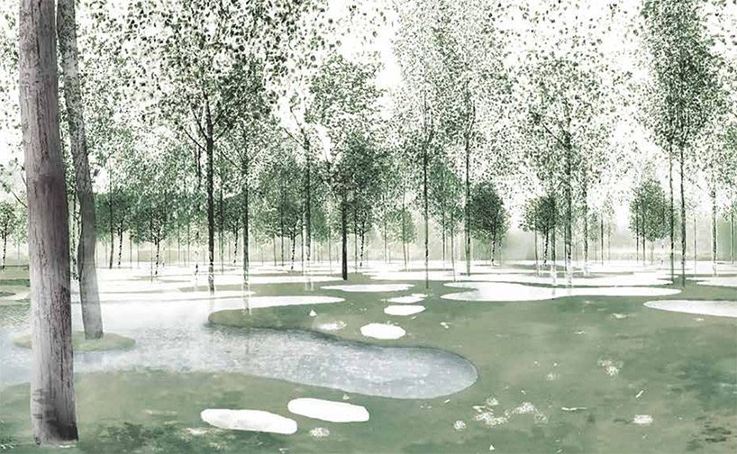 junya ishigami's art biotop project of a water garden in tochigi, japan opens