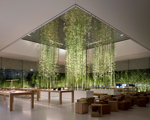 bamboo plants pierce apple store atrium in macau by foster + partners