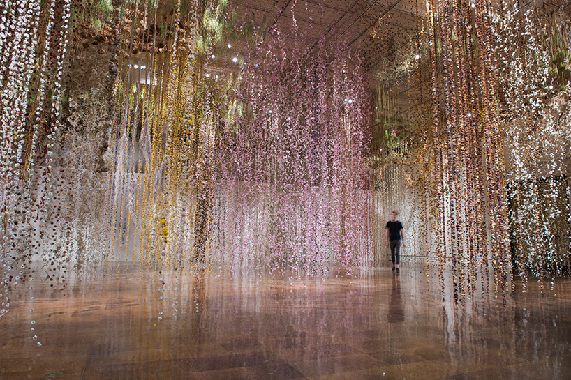 rebecca louise law community toledo