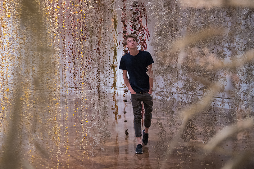 rebecca louise law community toledo