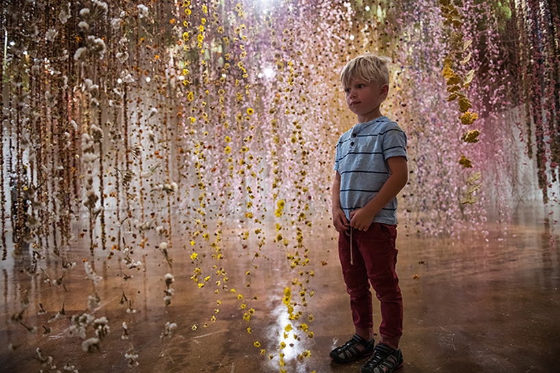 rebecca louise law community toledo