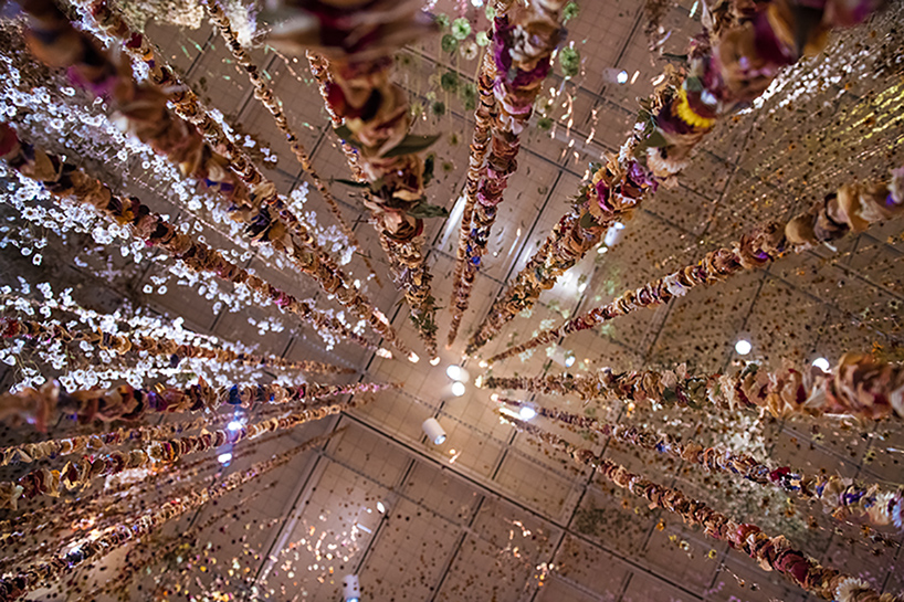 rebecca louise law community toledo