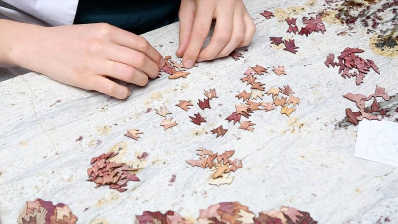 fernando laposse creates colourful totomoxtle veneer from mexican corn husks