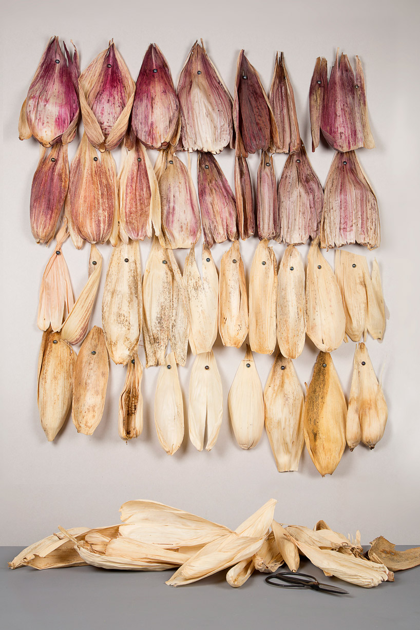 fernando laposse creates colourful totomoxtle veneer from mexican corn husks