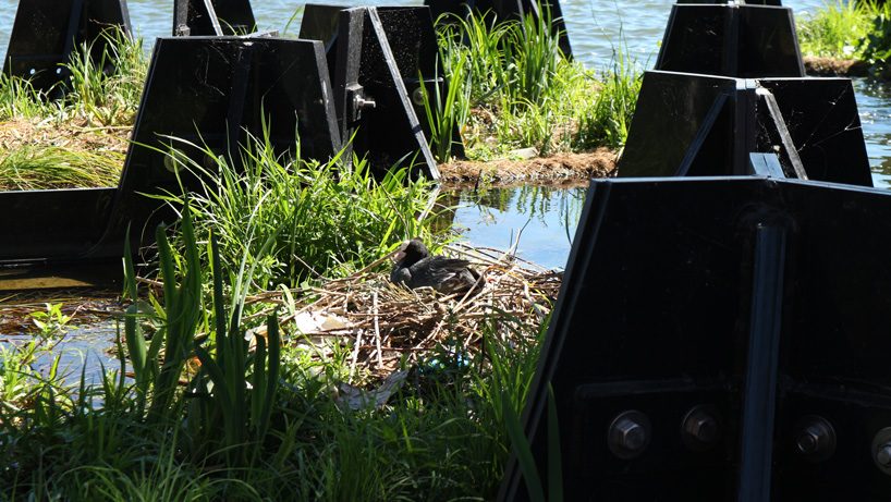 rotterdam's floating park is made entirely from recycled plastic waste found in the maas river - 4