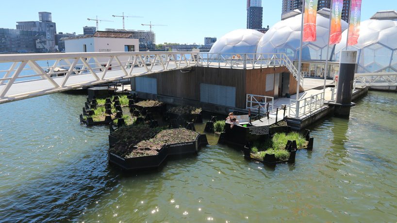rotterdam's floating park is made entirely from recycled plastic waste found in the maas river