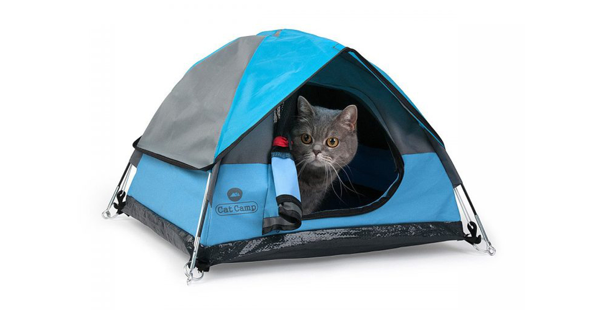 camping cats get their fill with these miniature sized felinefriendly