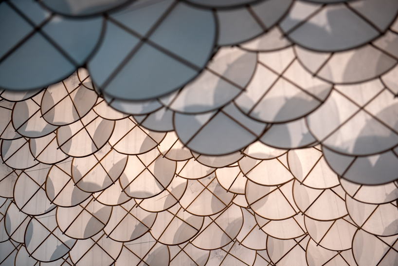 hashimoto eclipse governors island