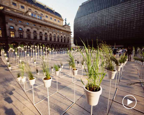 LLJA sets a botanical labyrinth of 1000 plants at a square in central prague