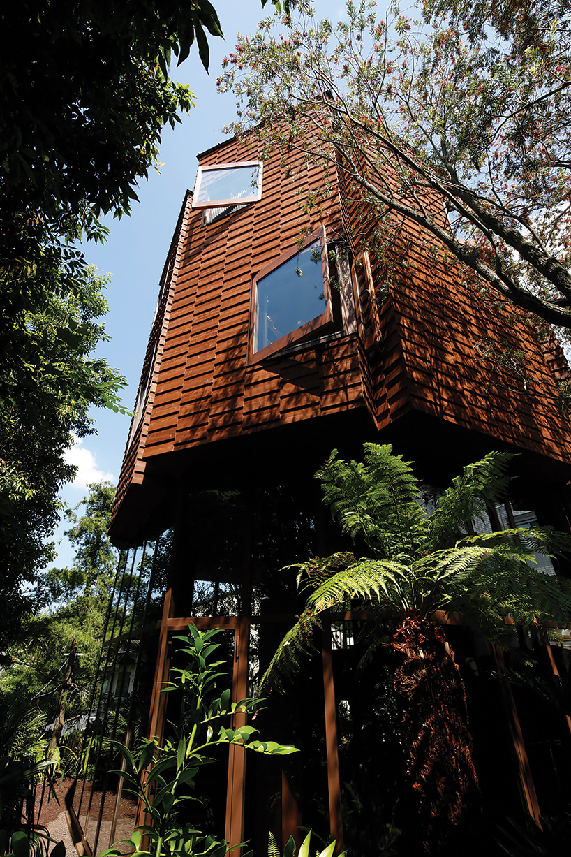 atelier tsuyoshi tane's wooden tower house in todoroki emerges from tokyo's urban jungle designboom