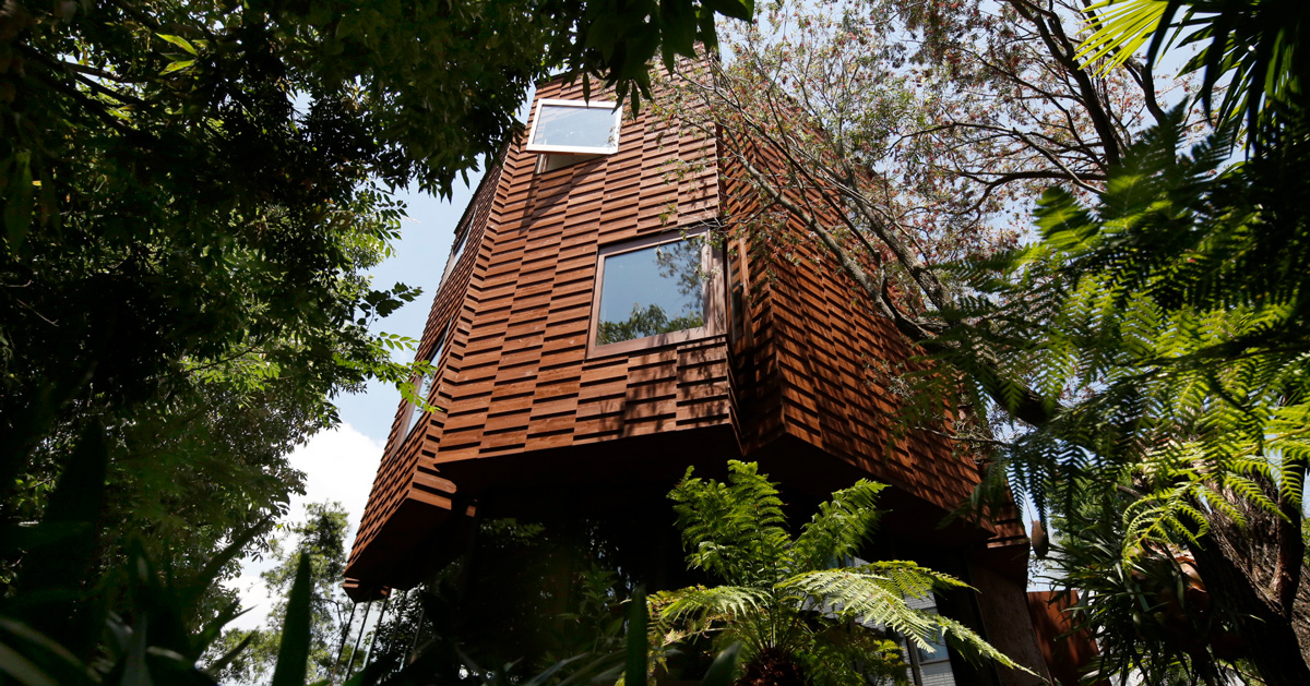atelier tsuyoshi tane's wooden tower house in todoroki emerges