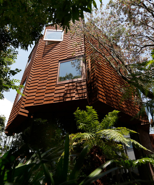 atelier tsuyoshi tane's wooden tower house in todoroki emerges from ...