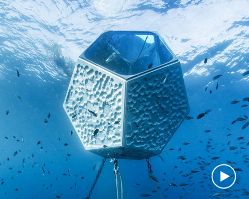 artist doug aitken and parley's cyrill gutsch on how to save oceans with art