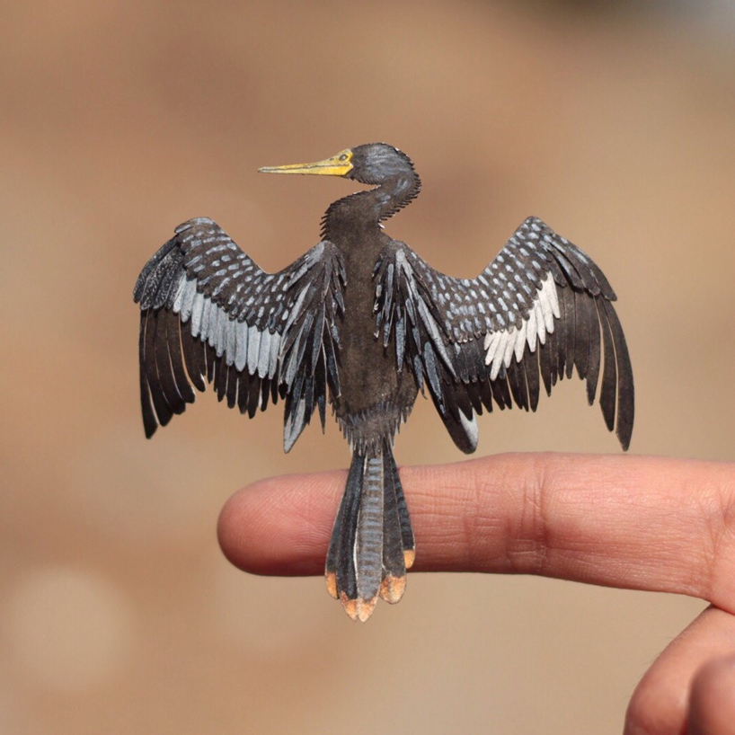 artists embark on 365 day series of intricately paper cut miniature birds
