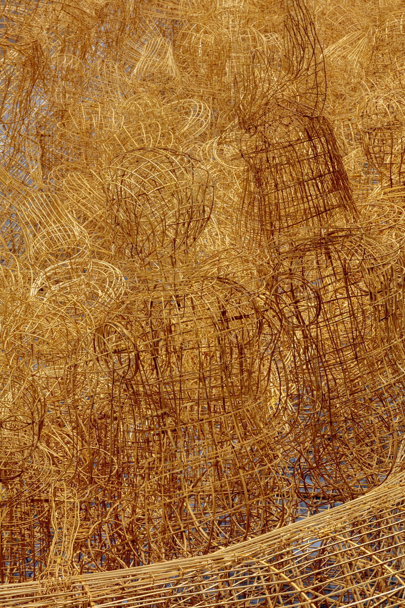 ai weiwei life cycle