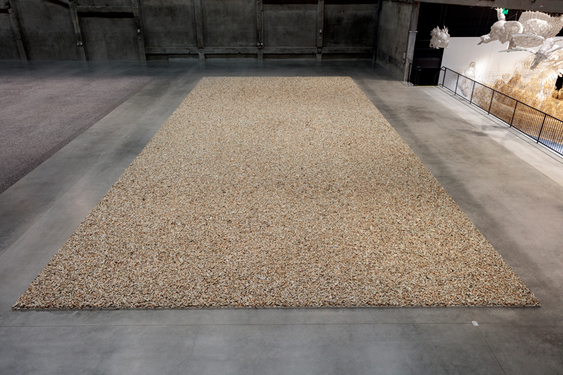 ai weiwei life cycle