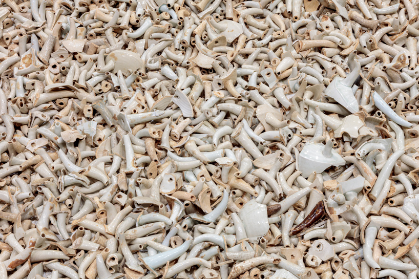 ai weiwei life cycle