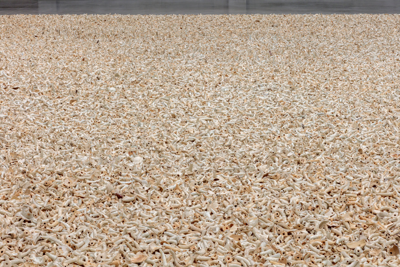 ai weiwei life cycle