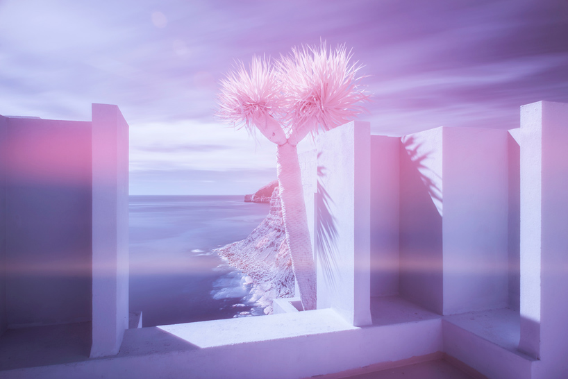 andres gallardo muralla infrarroja