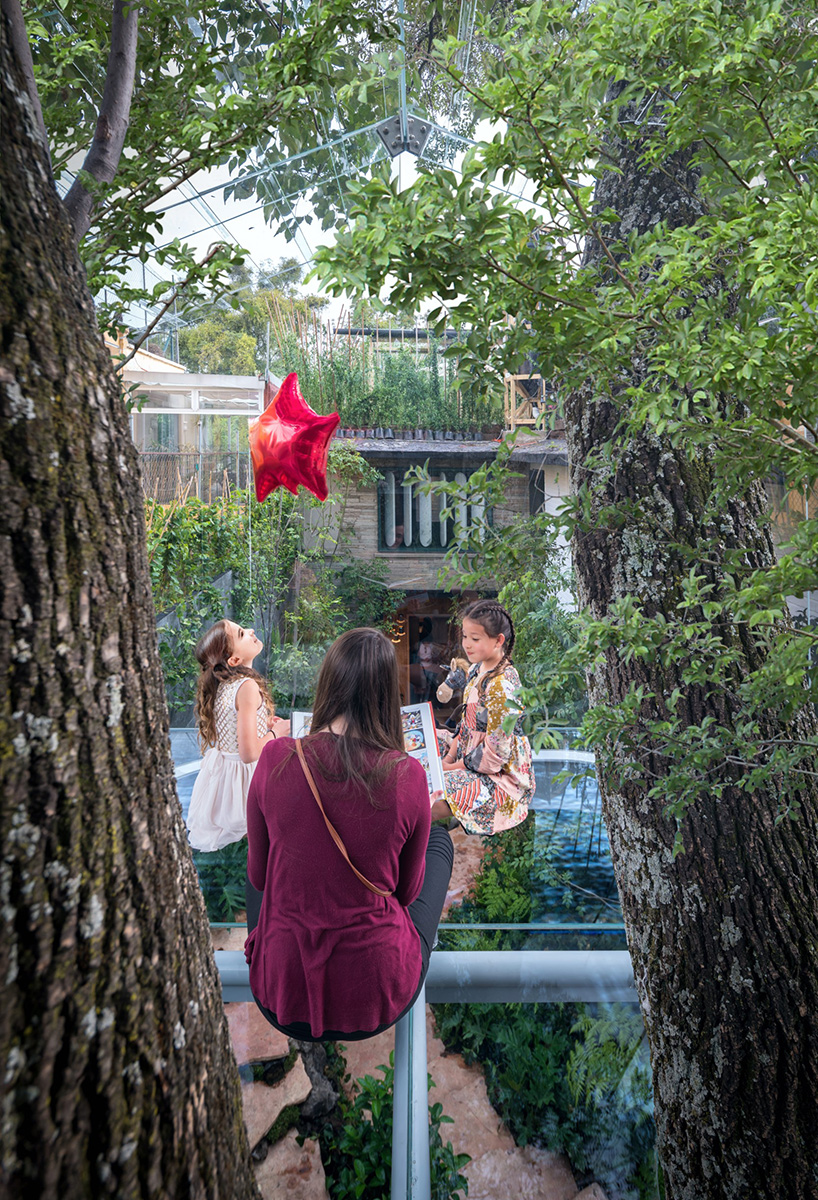 gerardo broissin glass treehouse