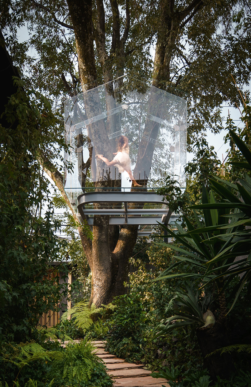 gerardo broissin glass treehouse