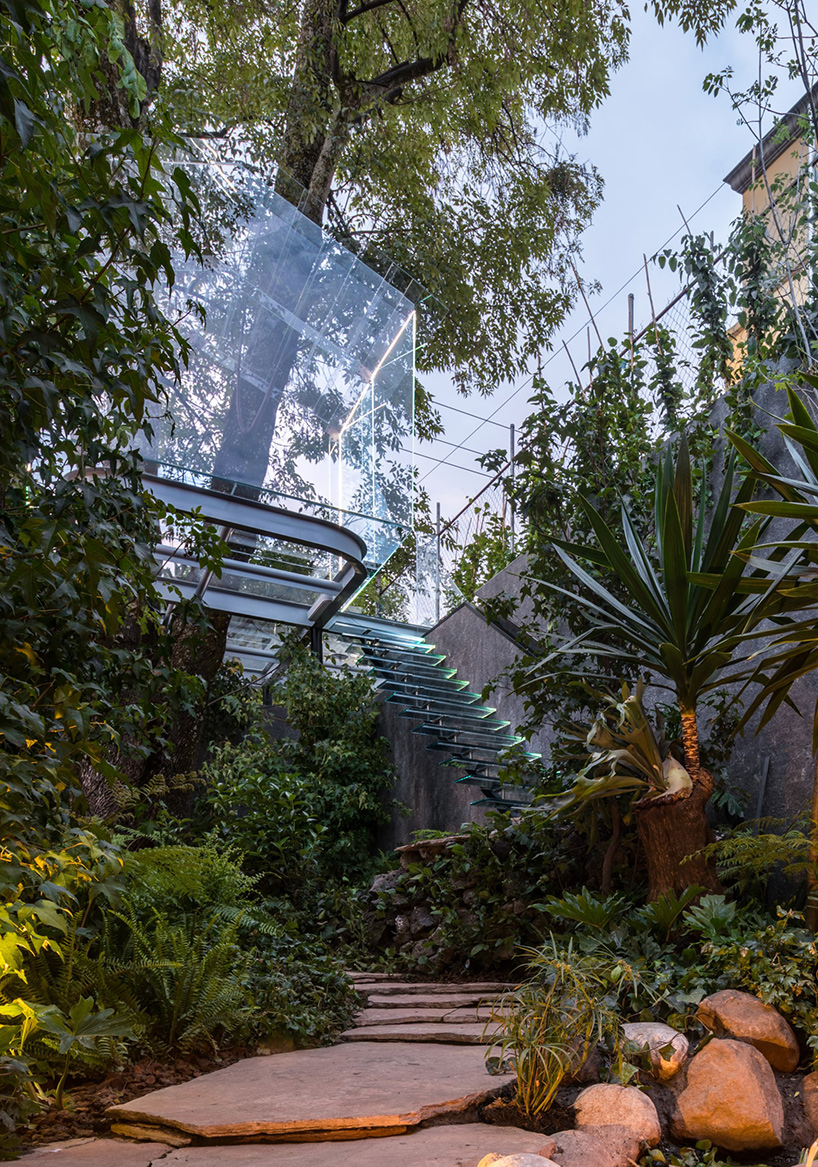 gerardo broissin glass treehouse