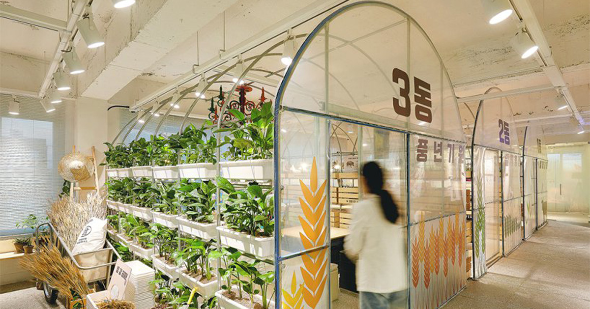 korean studio m4 designs its own office as a succession of farmers