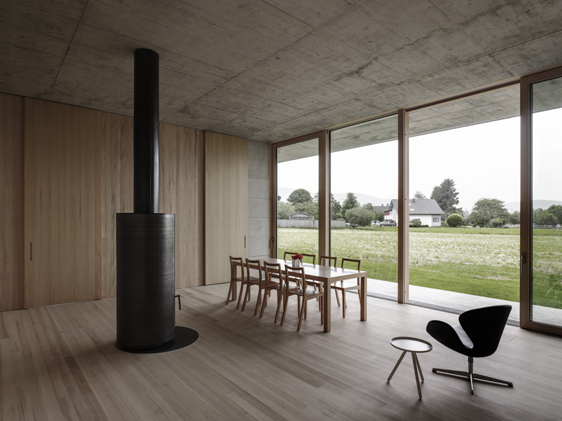 marte marte griss veterinary