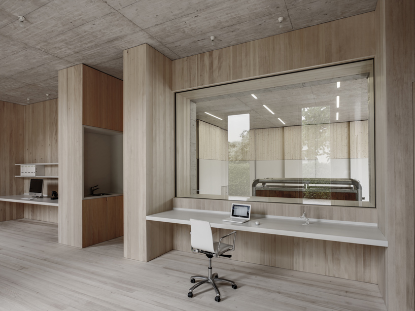 marte marte griss veterinary