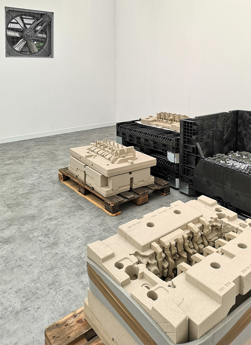 sam lewitt interview