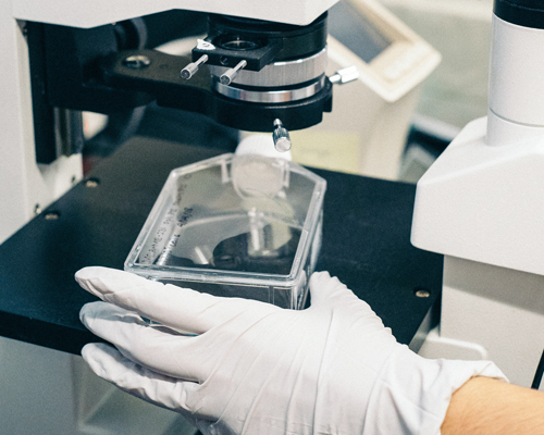 scientists have discovered hundreds of microplastics in human poo