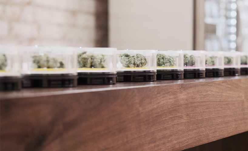 designing the cannabis industry: how a marijuana market is fast growing