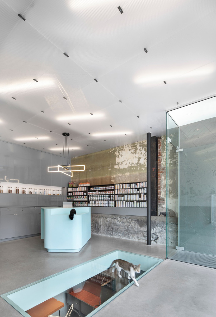 T B A transforms abandoned photo studio into veterinary hospital & residences in montréal