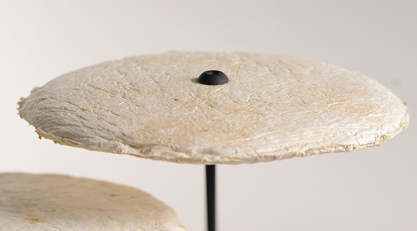 nir meiri shapes fungi into mycelium lights lamp collection designboom