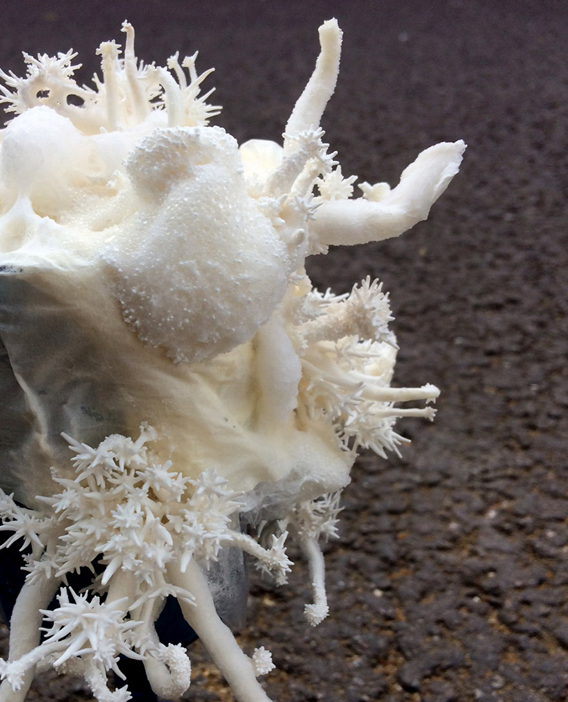 nir meiri shapes fungi into mycelium lights lamp collection designboom