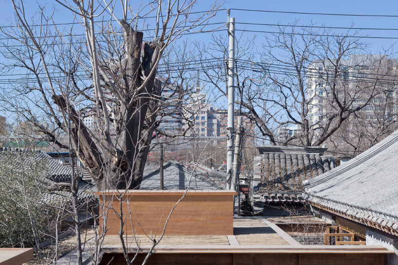 vector architects courtyard hybrid