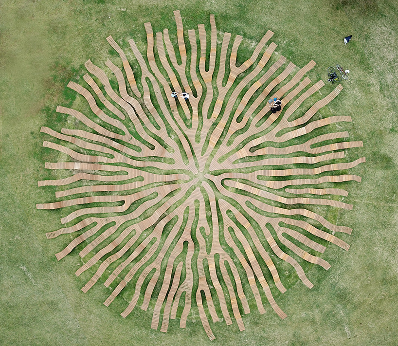 yong ju lee root bench