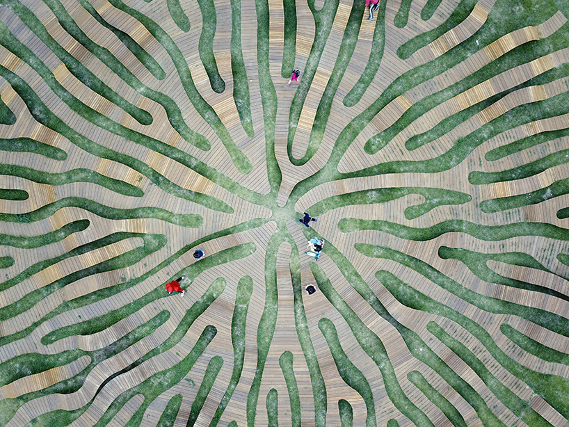 yong ju lee root bench